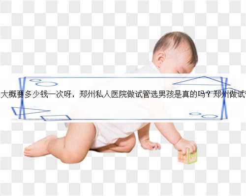 郑州试管婴儿费用大概要多少钱一次呀，郑州私人医院做试管选男孩是真的吗？